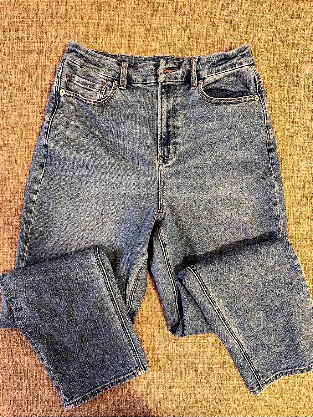 American Eagle jeans Straight Leg Waist 10 Blue